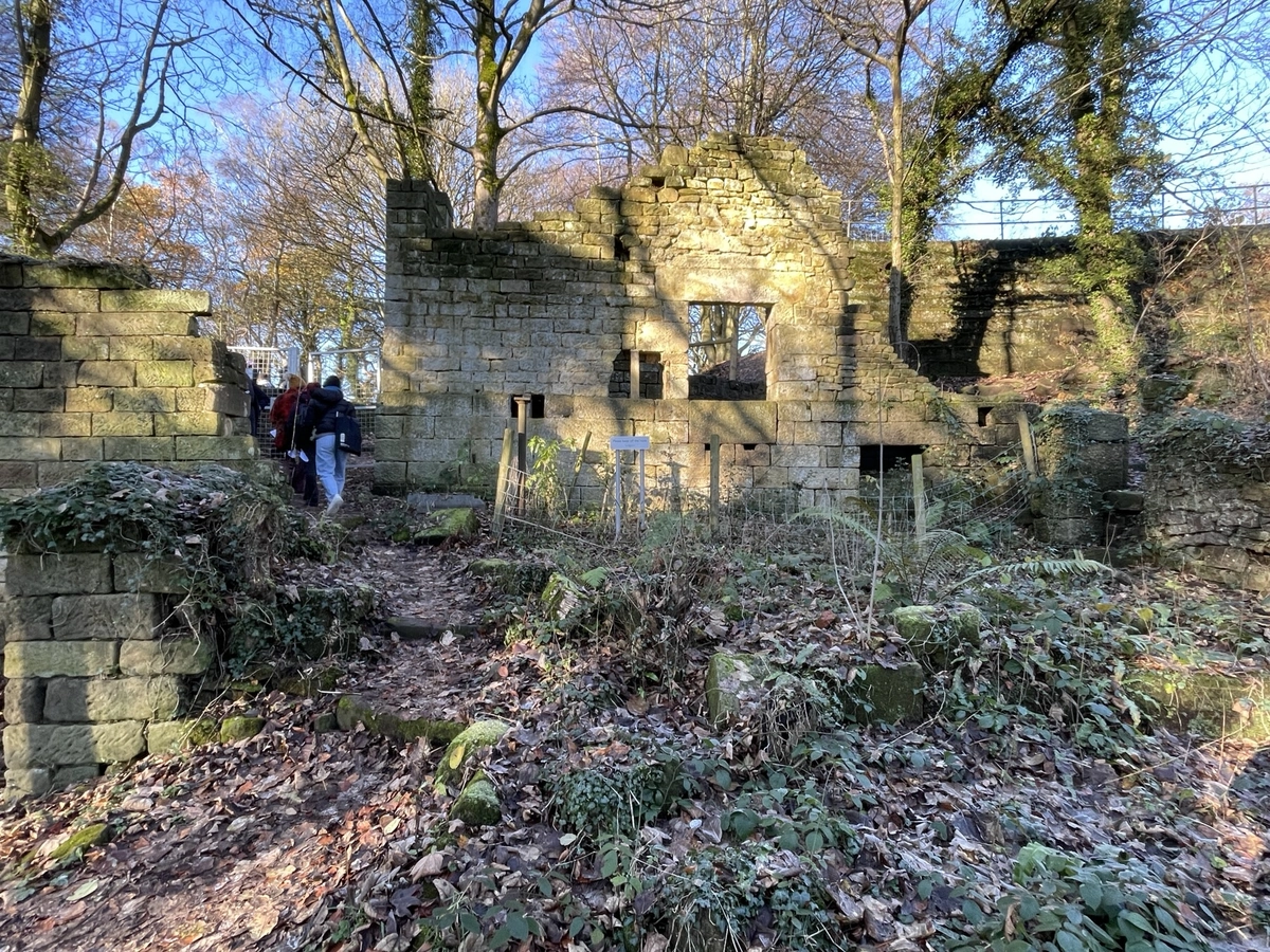 Mill ruins among the trees