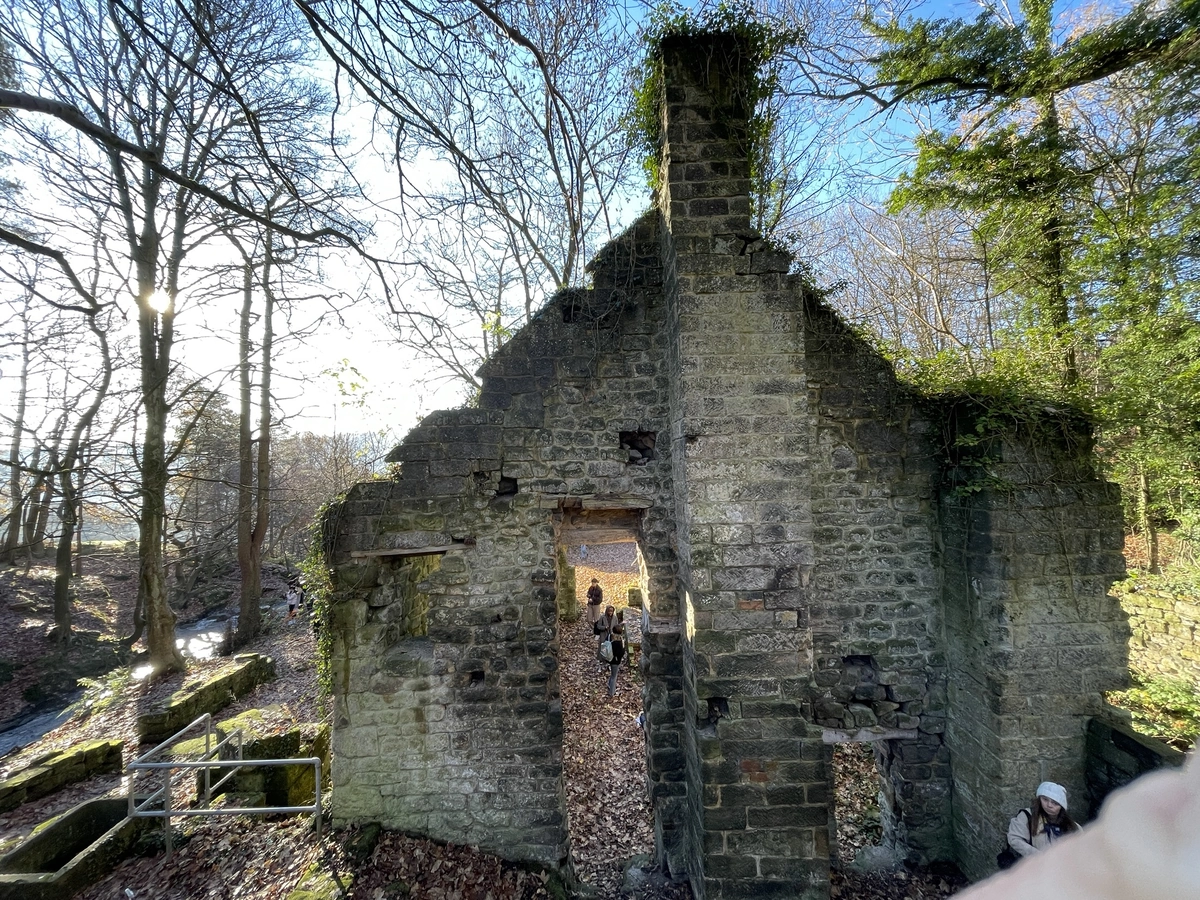 Ruined gable with surviving chimney, site visit December 2022
